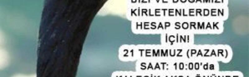 Çevre Platformu 21 Temmuz’da eylem düzenliyor